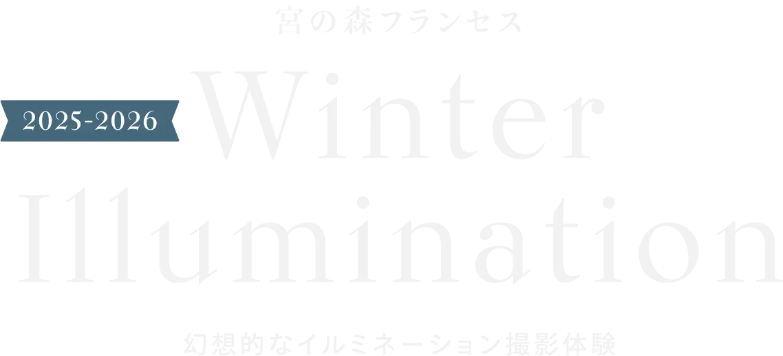 宮の森フランセス winter illumination 2025-2026