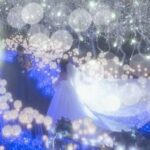 イルミネーション特別観覧のご案内